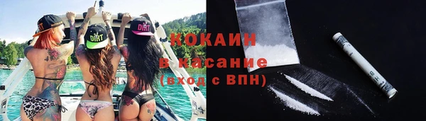крисы Дмитровск
