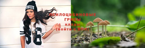 ALPHA-PVP Дмитриев