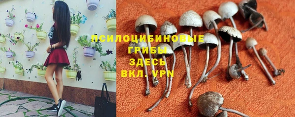 ALPHA-PVP Дмитриев