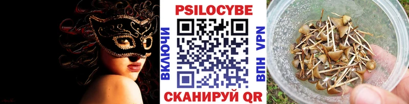 купить закладку  Топки  Галлюциногенные грибы Cubensis 
